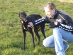 Ostern 2007 ist meine Galgo Hündin entlaufen  ( auf die Umstände gehe ich hier nicht drauf ein- es sei denn Erwünscht) ich hatte sie erst knapp 3 Wochen und sie hatte noch panische Angst vor Menschen. Informiert wurde:Polizei, Tierheim,Tasso, Feuerwehr, Bauhof,  Ortsansässige, Vorbesitzer, Tierschutzverein, Hundeschutzstaffel,  Tierärzte, umliegende Bauern, Jäger, Pfadfinder... Unternommen wurde: Futterplätze, Nachtwachen, Schlaftabletten,  Aufbau von Gehege, Ausgänge von Höfen und Reitställen geschlossen.  Natürlich nur wo sie gesichtet wurde. Flugblätter verteilt. Hatte auch einen Tierarzt gefunden, der mit einem Betäubungsgewehr  schießen durfte und konnte aber 1. hatte er nie Zeit und 2. ist  das bei einem sehr dünnen Hund sehr gefährlich, denn so nah kommt  man ja nicht an ihn Herran. Habe auch mit dem Zoo tel um mir eine  Falle zu besorgen, wurde aber nur ausgelacht; es würde sich  schließlich um einen Hund und nicht um ein Wildtier handeln  Seid langem (Monaten) wurde sie nicht mehr gesehen, ich habe  also nicht die geringste Ahnung in welcher Umgebung sie sich  befindet. Windhunde wandern ja bekanntlich.  Meine Frage: Was kann man noch machen?  Liebe Grüsse Nicole